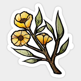 Yellow Buttercup Flowers Sticker